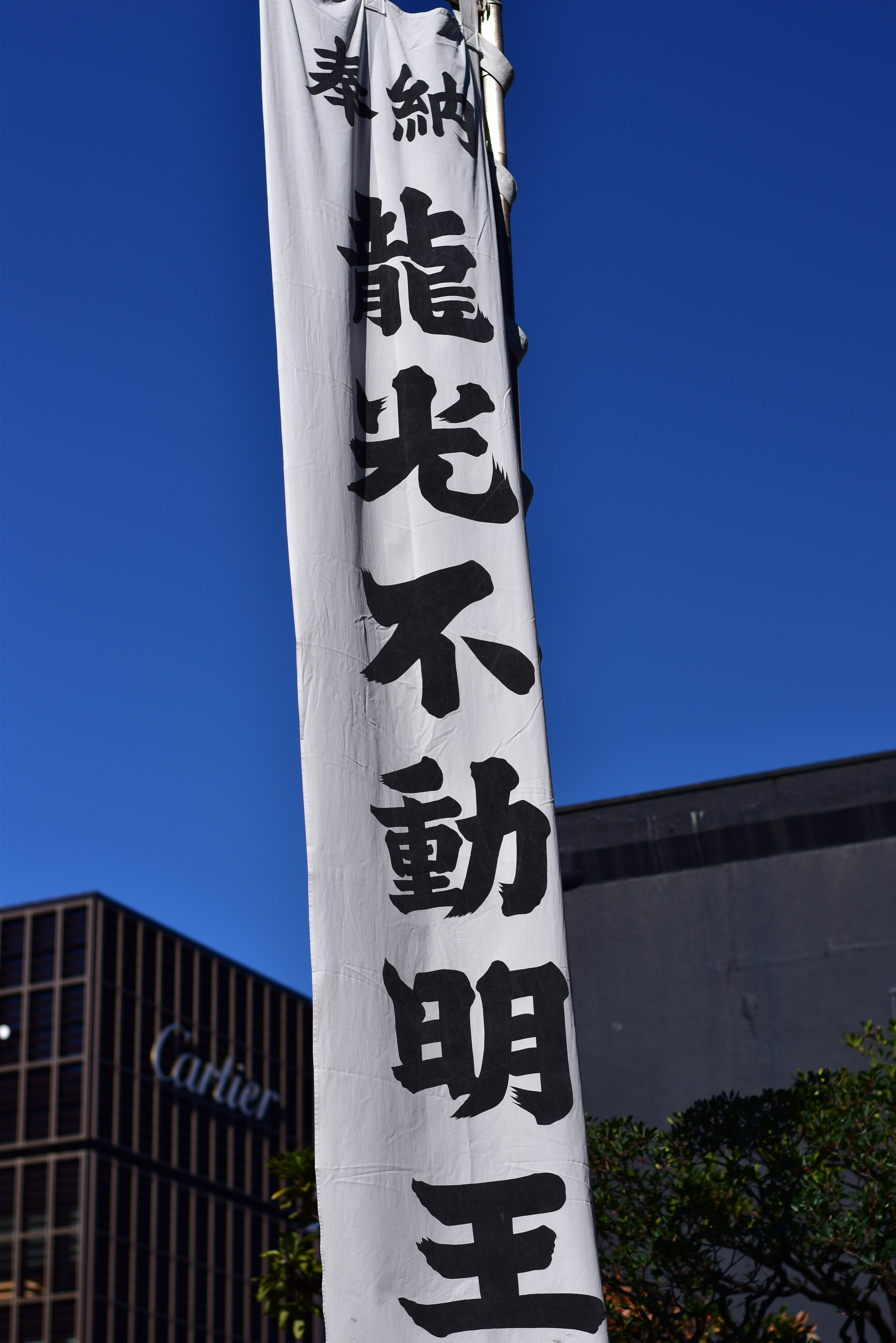 DSC_0932 - コピー