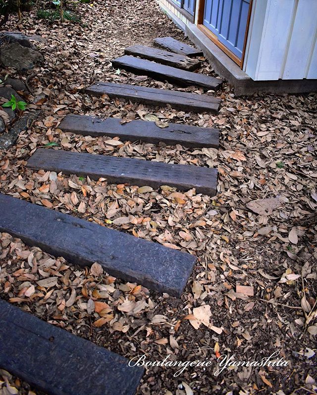 ～Instagramからの今日のフォトエッセイ♪～