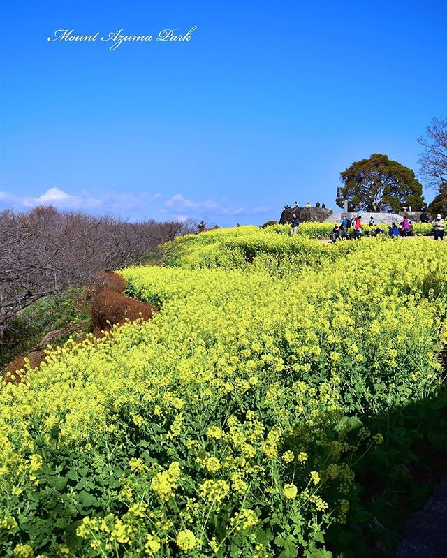 ～Instagramからの今日のフォトエッセイ♪～