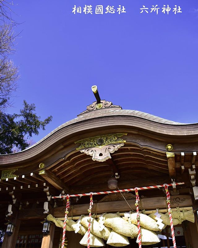 ～Instagramからの今日のフォトエッセイ♪～