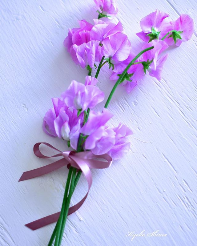 ～Instagramからの今日のフォトエッセイ♪～