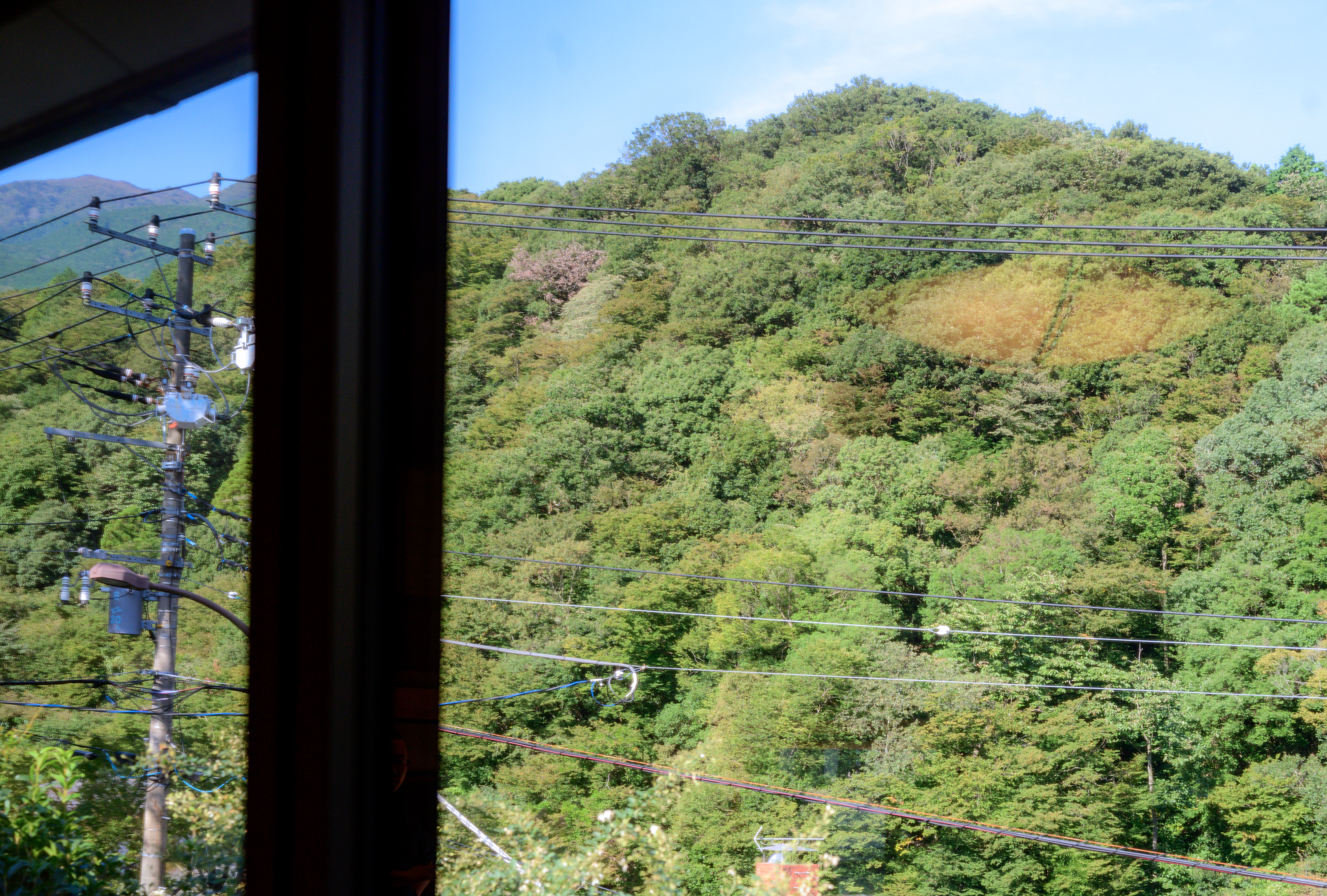 DSC_3443-Edit-1