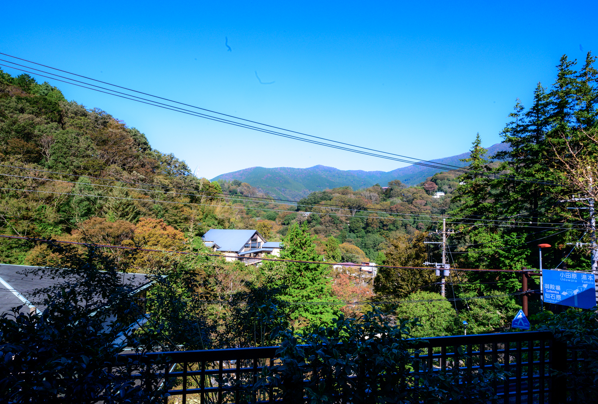 DSC_5141-Edit-1