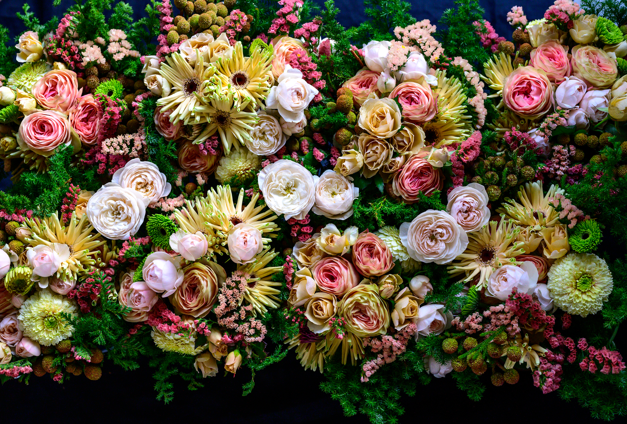 DSC_5607-Edit-1
