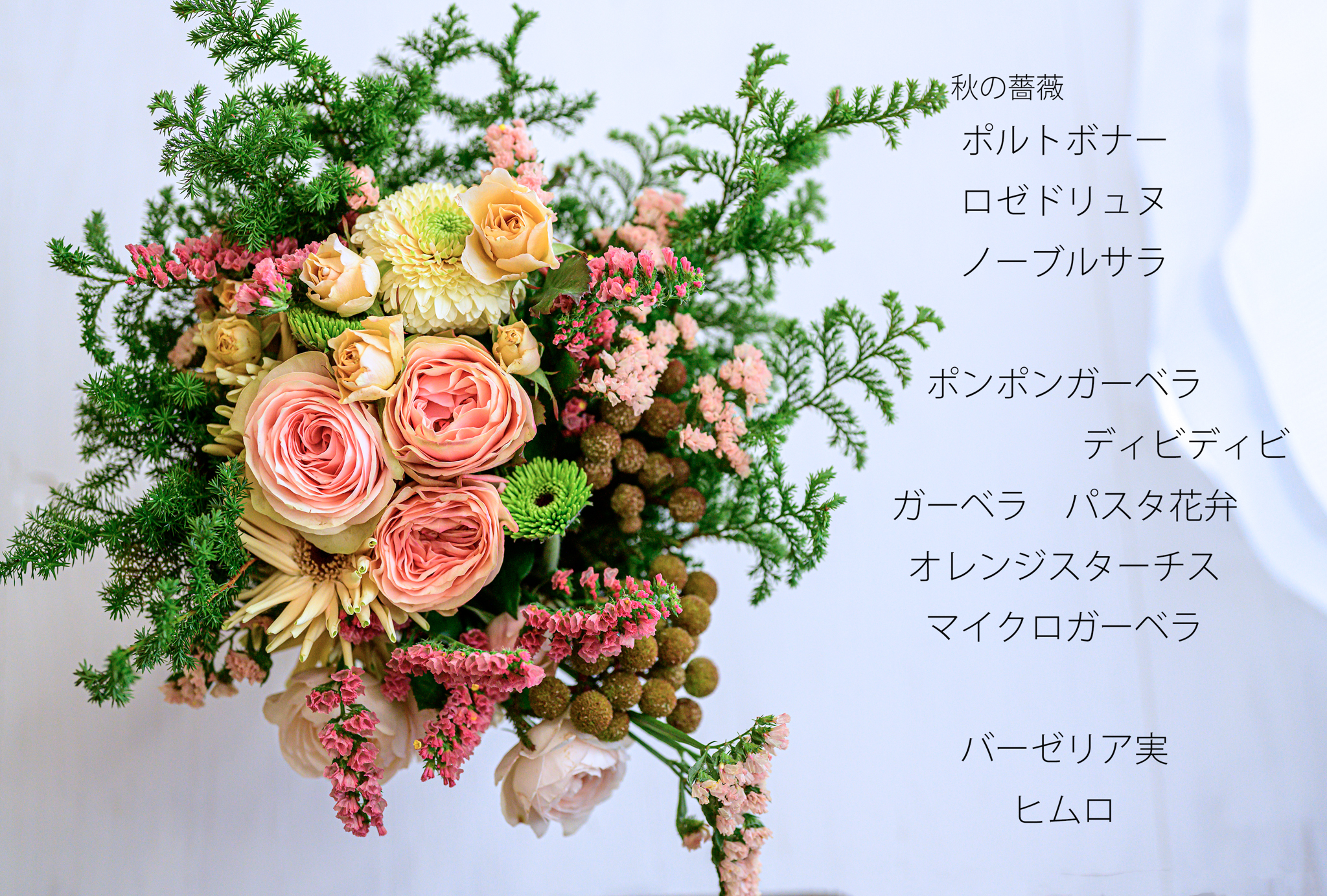 DSC_5663-Edit-1