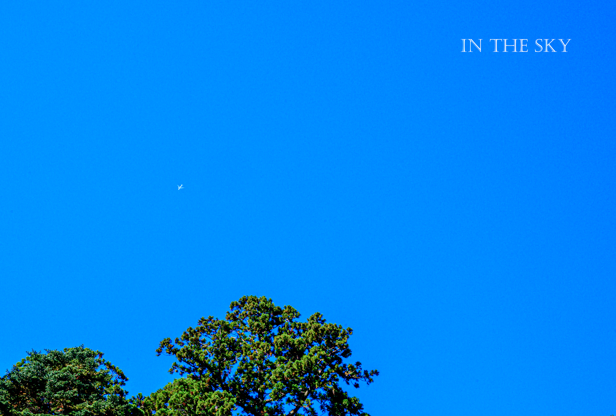 DSC_5749-Edit-1