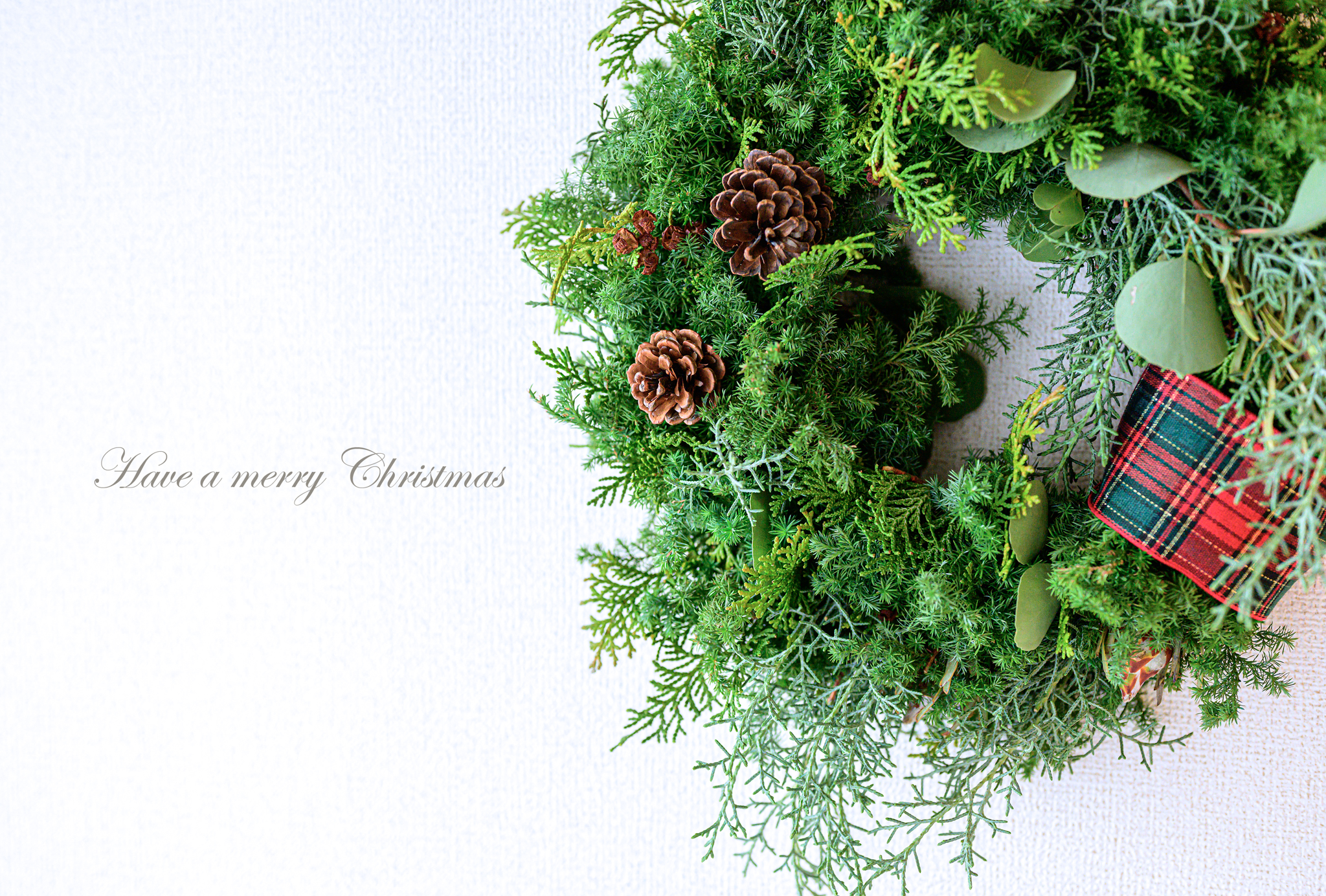 DSC_5809-Edit-1
