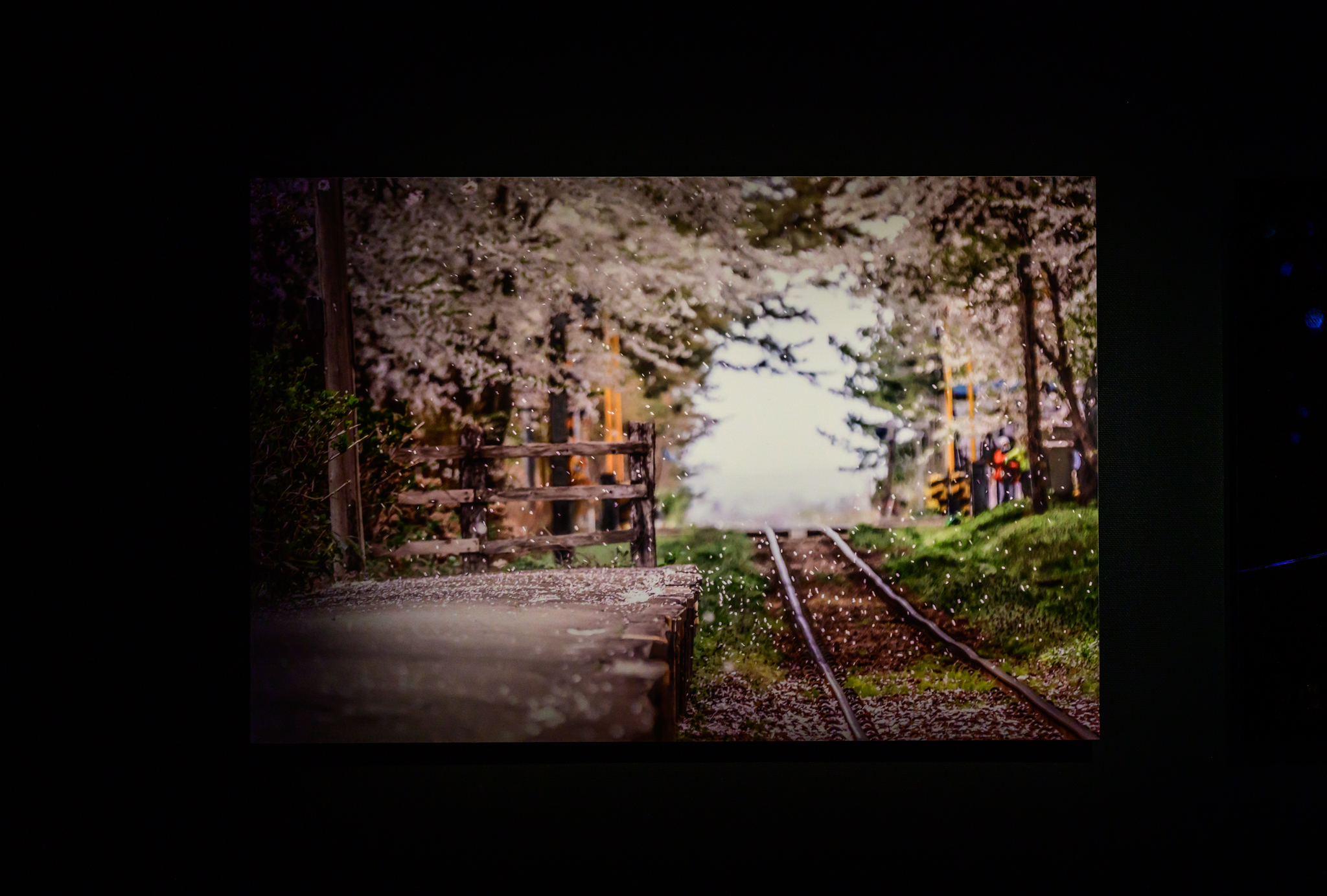 DSC_7622-Edit-1